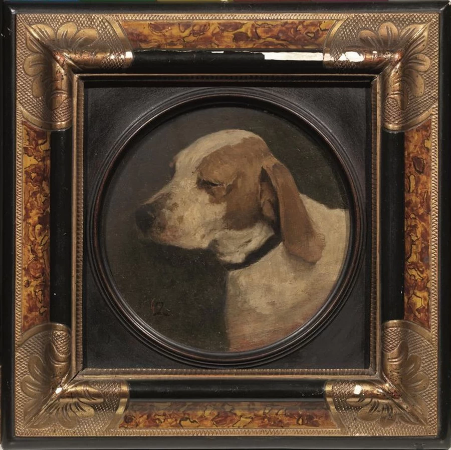 Testa di cane